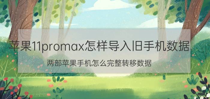 苹果11promax怎样导入旧手机数据 两部苹果手机怎么完整转移数据？